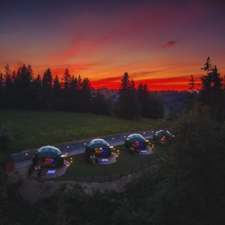 Peak Glamp & Jacuzzi Hotel Zakopane Exterior photo